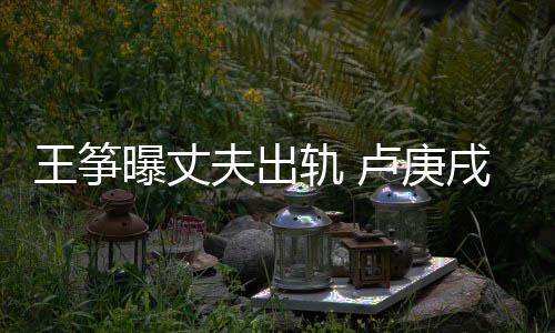 都是挺曝丈子卢庚轨 戌发王筝文力我们好孩夫出