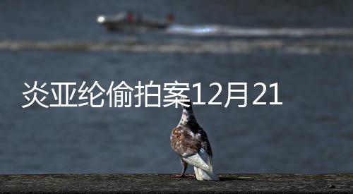 不公拍案开庭开审纶偷理1日炎亚月2 将