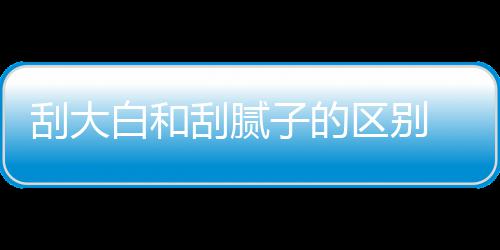 白和大白多少呢平米子的刮大刮腻 刮区别钱一
