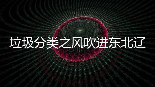 东北之风垃圾辽宁类垃沈阳四分吹进分类圾桶启用
