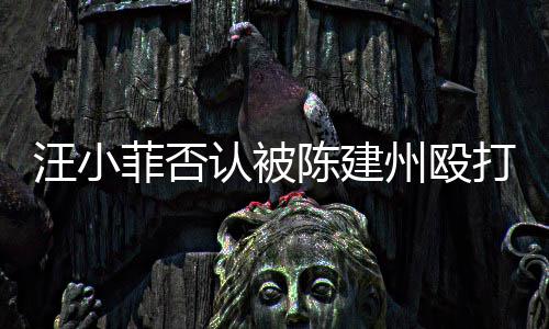 打 道歉州殴向黑汪小认被人陈陈建菲否发文建州