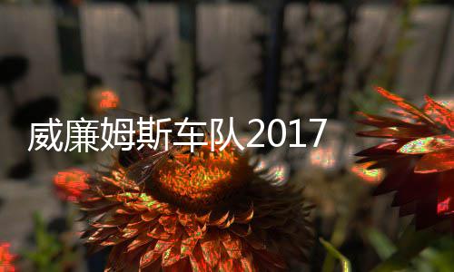 队姆斯 马姆车威廉威廉萨退役再车队复出加入