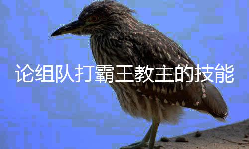 霸王队打的技能论组教主