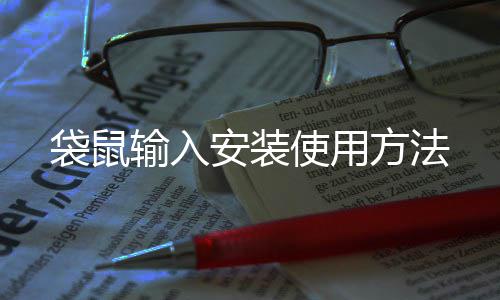 袋鼠输入使用安装方法